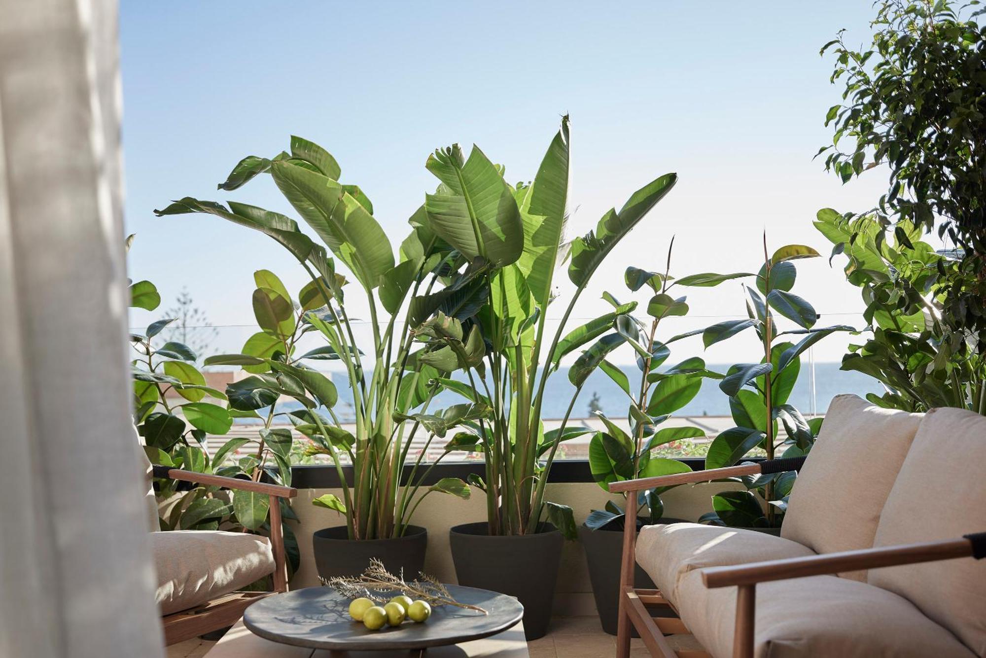 Helea Lifestyle Beach Resort Kallithéa Exterior foto A balcony garden